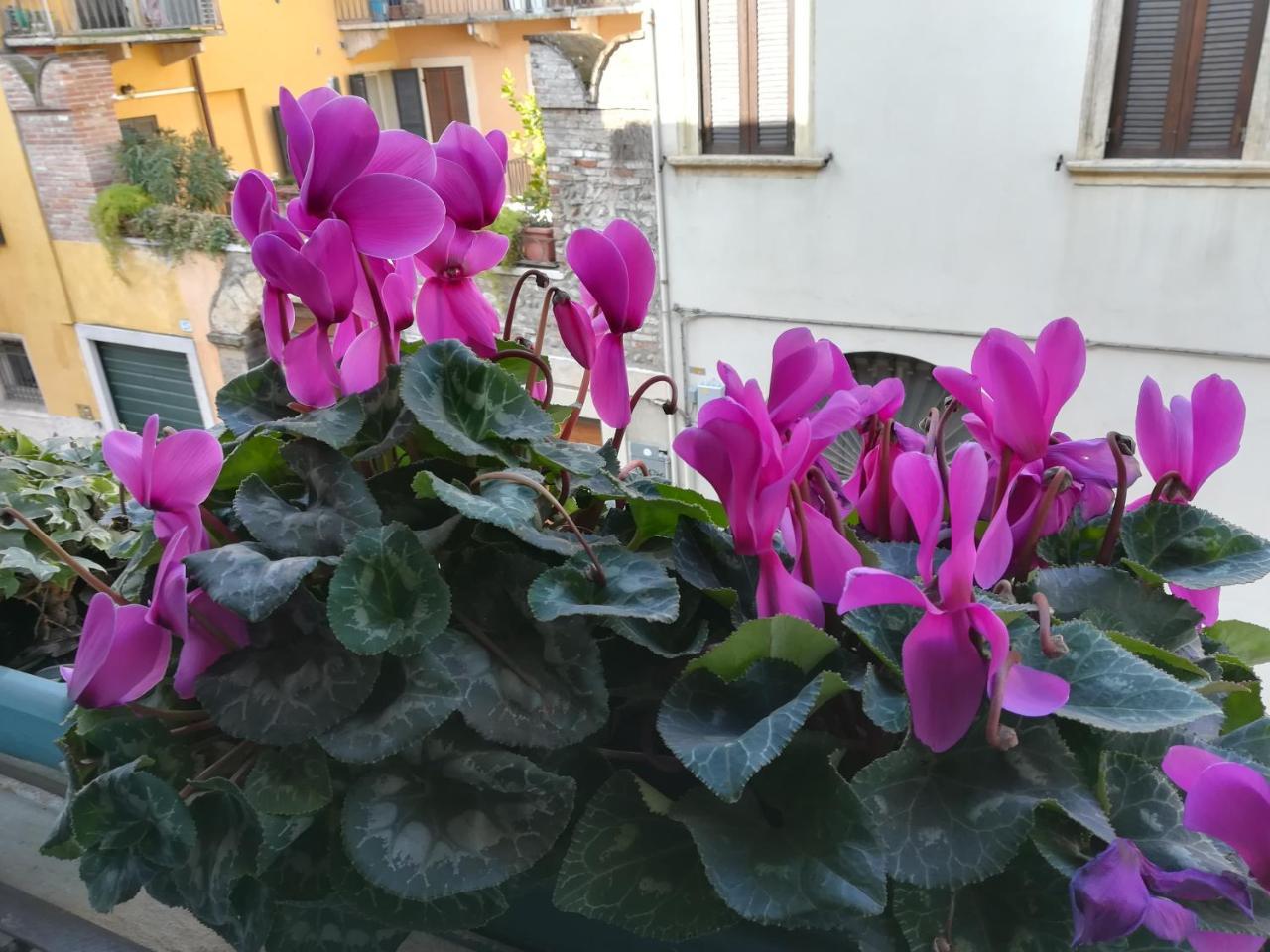 A Casa Di Luca Hotel Верона Екстериор снимка